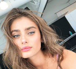 taylorhill.gif